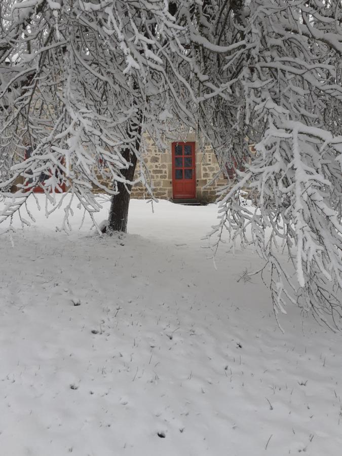 Auverg'Nature Chambre Cocon Espinasse Екстериор снимка
